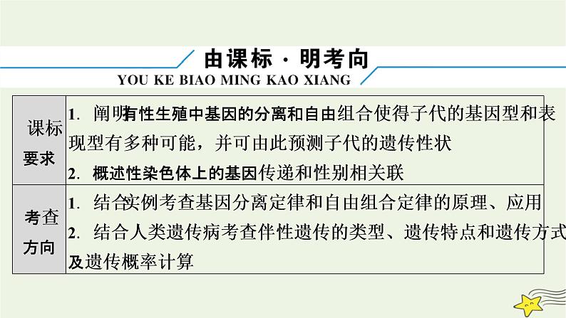 高考生物二轮复习板块2以基因为主导的遗传变异系统专题6遗传的基本规律与人类遗传病课件第5页