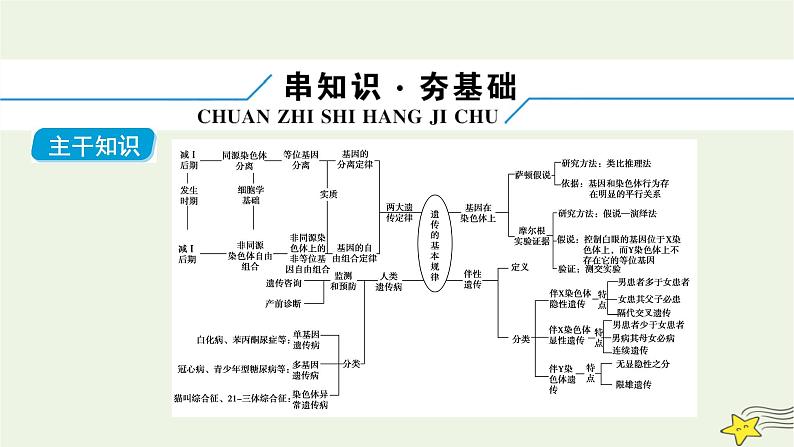 高考生物二轮复习板块2以基因为主导的遗传变异系统专题6遗传的基本规律与人类遗传病课件第6页