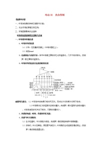 浙江专用高考生物一轮复习考点06光合作用含解析