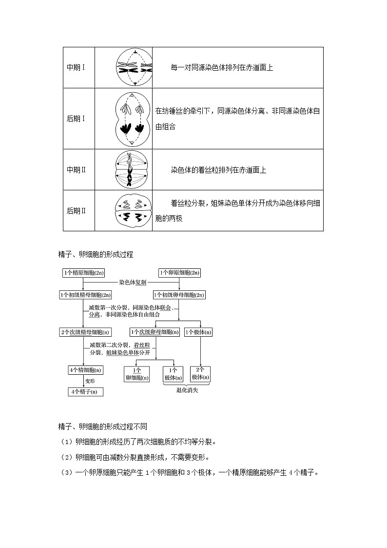 浙江专用高考生物一轮复习考点09减数分裂与受精作用含解析第2页