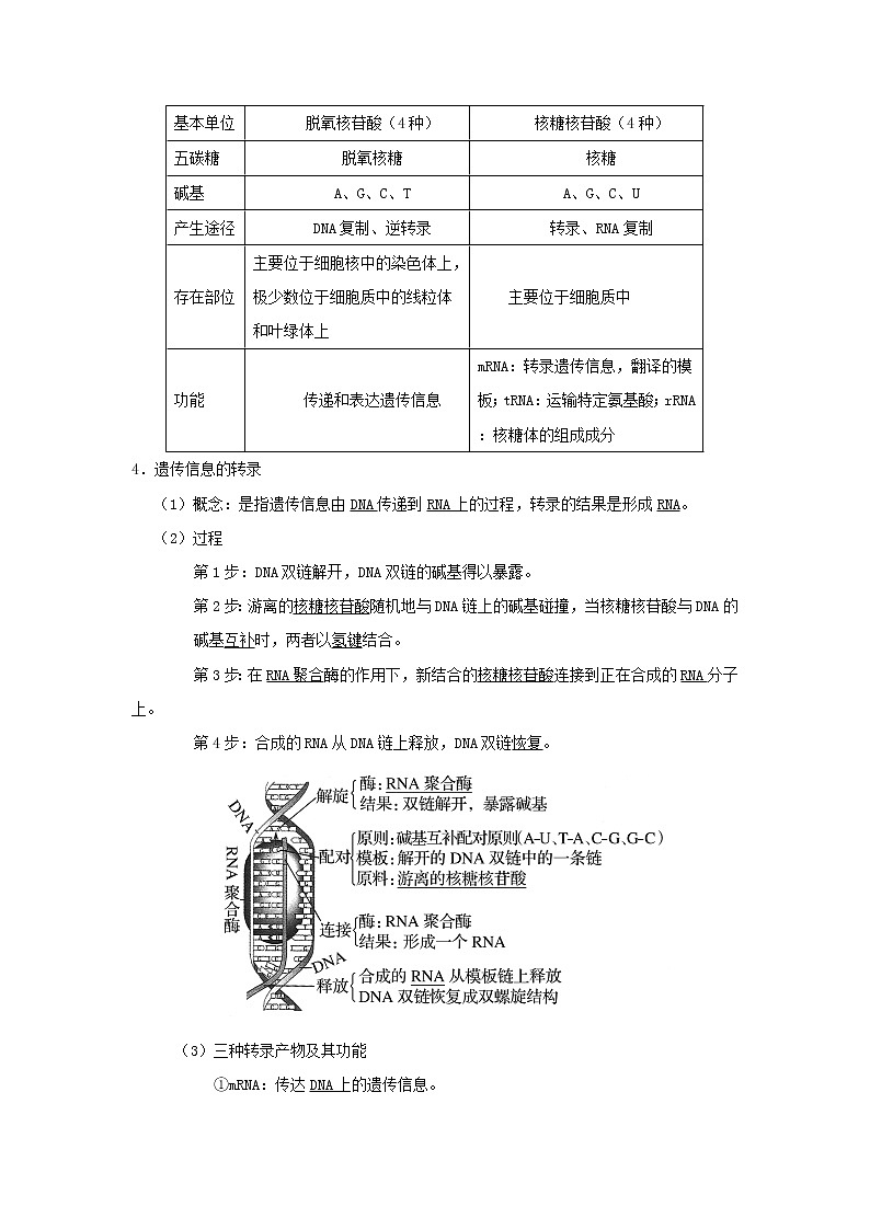 浙江专用高考生物一轮复习考点13遗传信息的表达含解析第2页