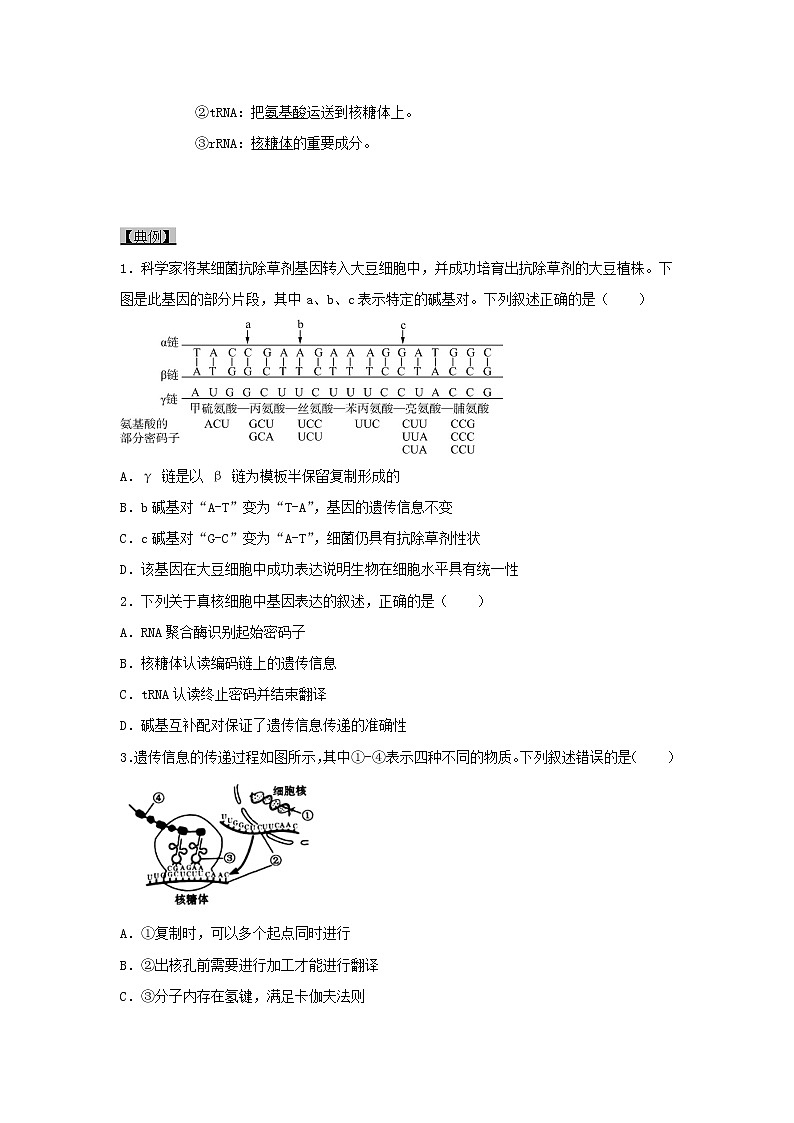 浙江专用高考生物一轮复习考点13遗传信息的表达含解析第3页