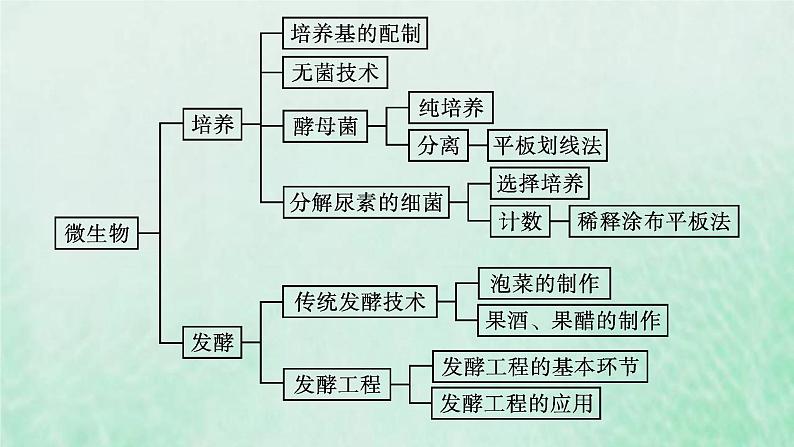 新人教版高中生物选择性必修3第一章发酵工程本章整合课件04