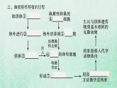 新人教版高中生物选择性必修3第二章细胞工程第2节第3课时动物体细胞核移植技术和克炉物课件