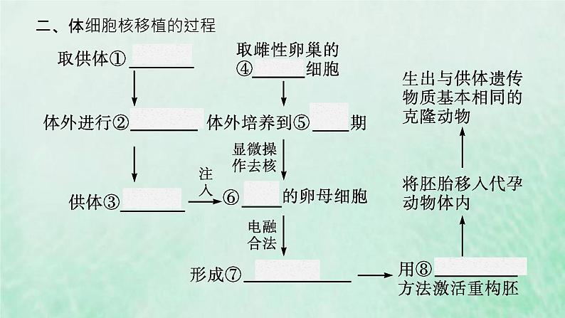 新人教版高中生物选择性必修3第二章细胞工程第2节第3课时动物体细胞核移植技术和克炉物课件05