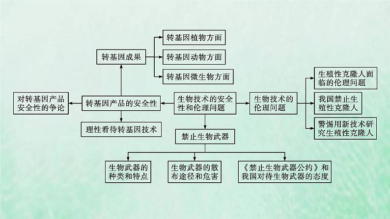 新人教版高中生物选择性必修3第四章生物技术的安全性与伦理问题本章整合课件04