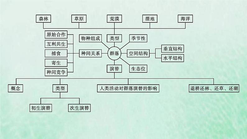 新人教版高中生物选择性必修2第二章群落及其演替本章整合课件04