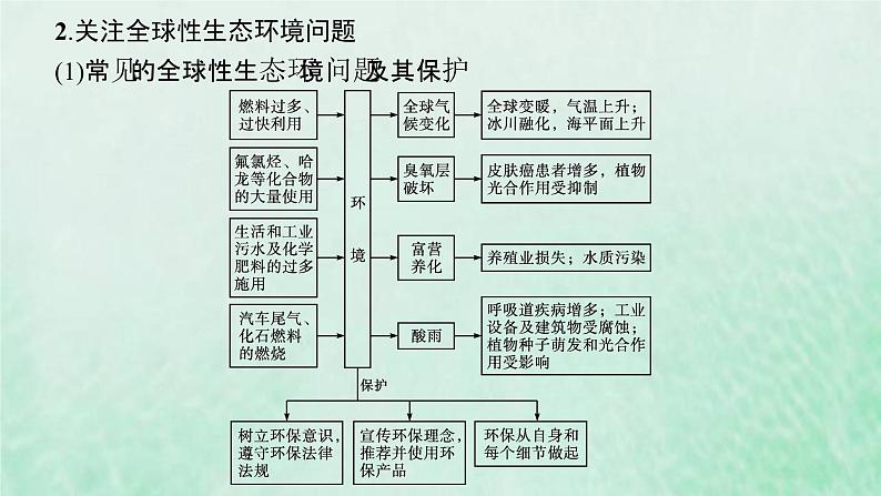 新人教版高中生物选择性必修2第四章人与环境本章整合课件08