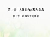 新人教版高中生物选择性必修1第1章人体的内环境与稳态第1节细胞生活的环境课件