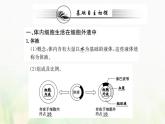 新人教版高中生物选择性必修1第1章人体的内环境与稳态第1节细胞生活的环境课件