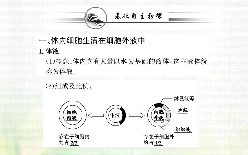 新人教版高中生物选择性必修1第1章人体的内环境与稳态第1节细胞生活的环境课件03