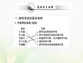 新人教版高中生物选择性必修1第2章神经调节第1节神经调节的结构基次件 课件