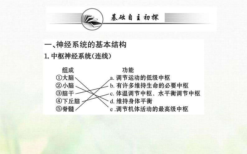 新人教版高中生物选择性必修1第2章神经调节第1节神经调节的结构基次件第3页