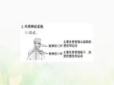 新人教版高中生物选择性必修1第2章神经调节第1节神经调节的结构基次件 课件