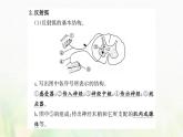 新人教版高中生物选择性必修1第2章神经调节第2节神经调节的基本方式课件