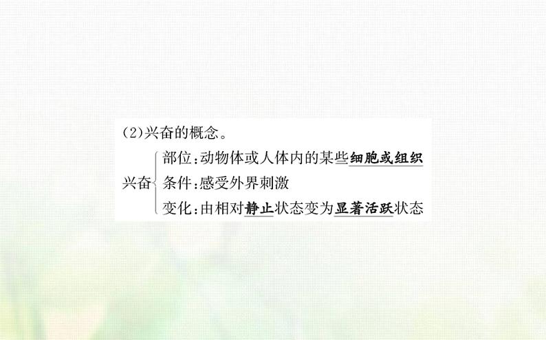 新人教版高中生物选择性必修1第2章神经调节第2节神经调节的基本方式课件05
