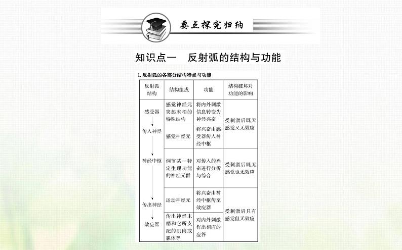 新人教版高中生物选择性必修1第2章神经调节第2节神经调节的基本方式课件08