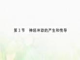 新人教版高中生物选择性必修1第2章神经调节第3节神经冲动的产生和传导课件