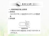 新人教版高中生物选择性必修1第2章神经调节第3节神经冲动的产生和传导课件