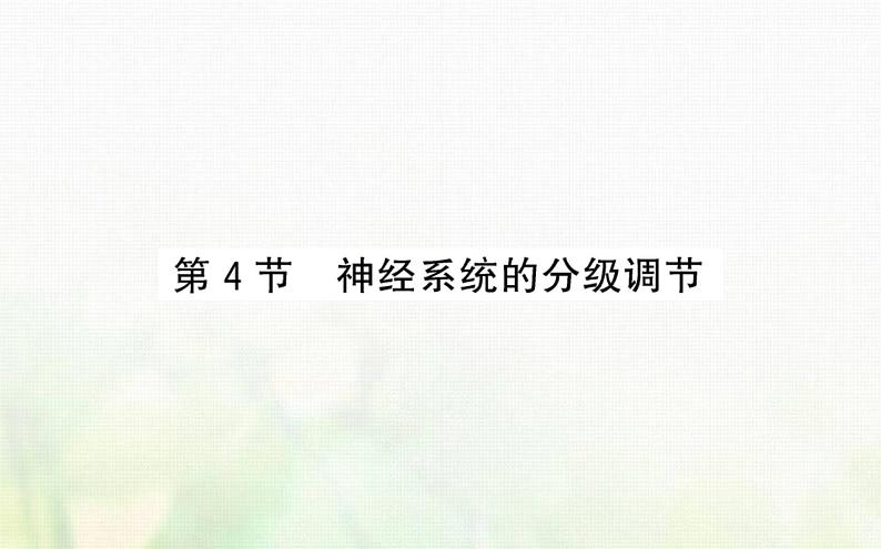 新人教版高中生物选择性必修1第2章神经调节第4节神经系统的分级调节课件01