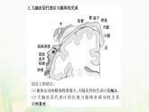 新人教版高中生物选择性必修1第2章神经调节第4节神经系统的分级调节课件