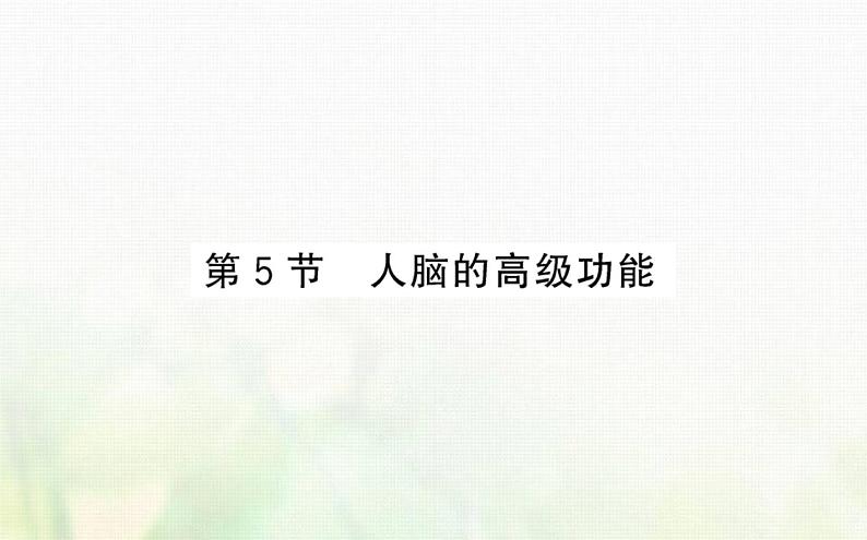 新人教版高中生物选择性必修1第2章神经调节第5节人脑的高级功能课件01