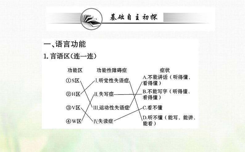 新人教版高中生物选择性必修1第2章神经调节第5节人脑的高级功能课件03