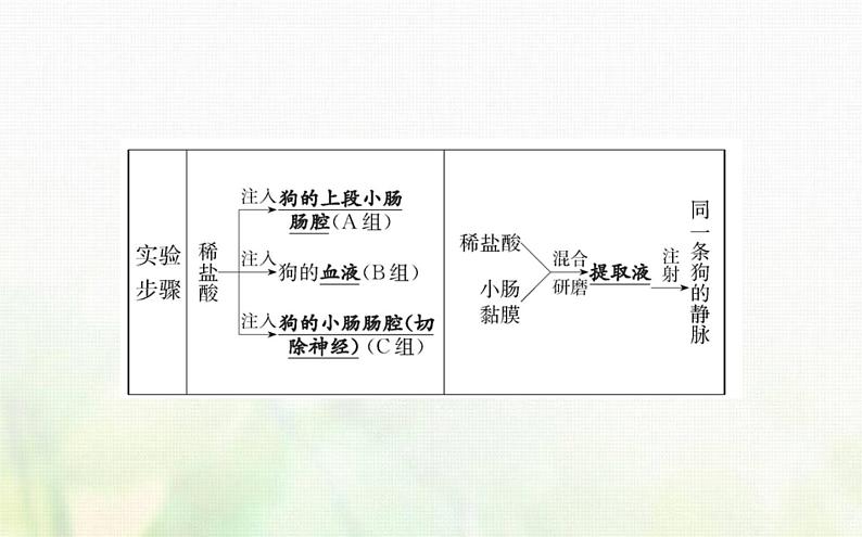 新人教版高中生物选择性必修1第3章体液调节第1节激素与内分泌系统课件04