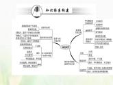 新人教版高中生物选择性必修1第3章体液调节阶段复习课课件