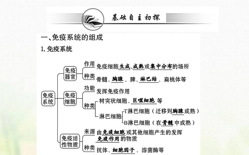 新人教版高中生物选择性必修1第4章免疫调节第1节免疫系统的组成和功能课件03