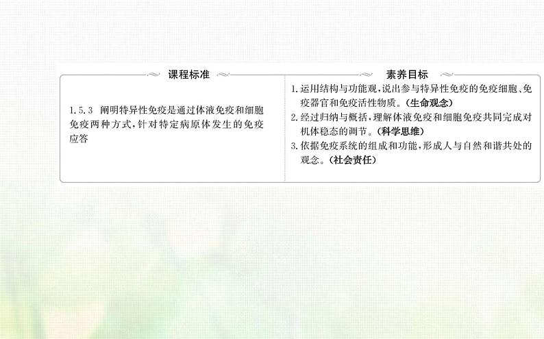 新人教版高中生物选择性必修1第4章免疫调节第2节特异性免疫课件02