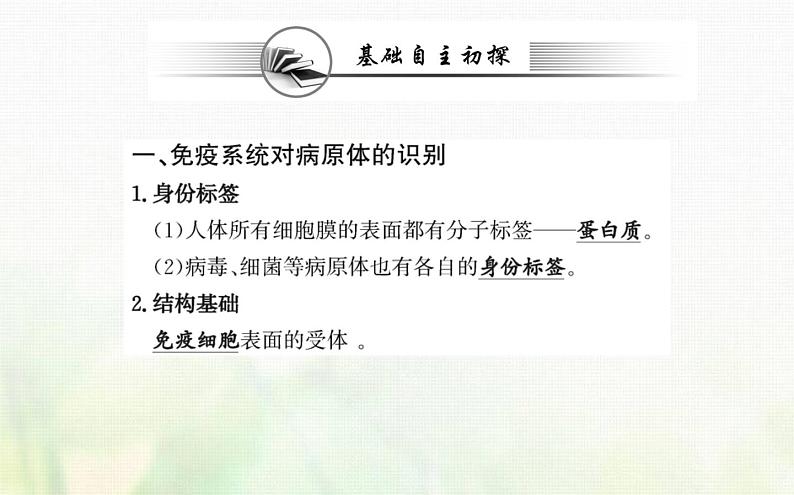 新人教版高中生物选择性必修1第4章免疫调节第2节特异性免疫课件03