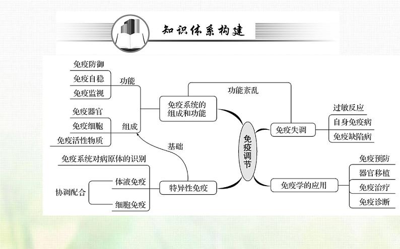 新人教版高中生物选择性必修1第4章免疫调节阶段复习课课件02