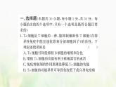 新人教版高中生物選擇性必修1第4章免疫調節(jié)階段復習課課件