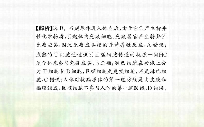 新人教版高中生物选择性必修1第4章免疫调节阶段复习课课件07