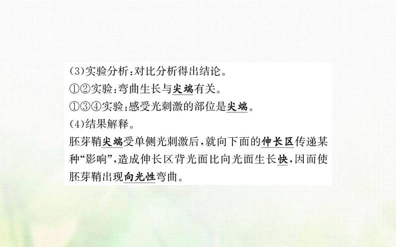 新人教版高中生物选择性必修1第5章植物生命活动的调节第1节植物生长素课件第5页