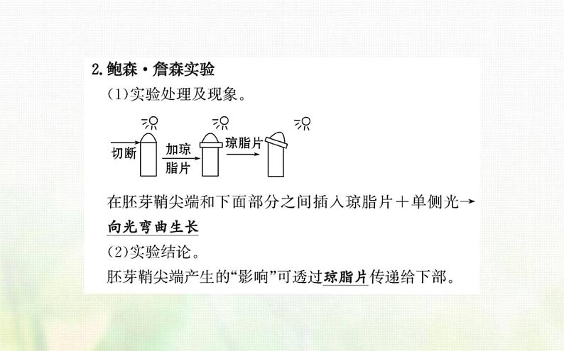 新人教版高中生物选择性必修1第5章植物生命活动的调节第1节植物生长素课件第6页