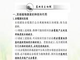 新人教版高中生物选择性必修1第5章植物生命活动的调节第2节其他植物激素课件