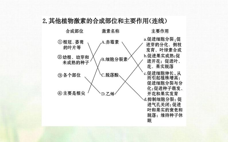 新人教版高中生物选择性必修1第5章植物生命活动的调节第2节其他植物激素课件第4页