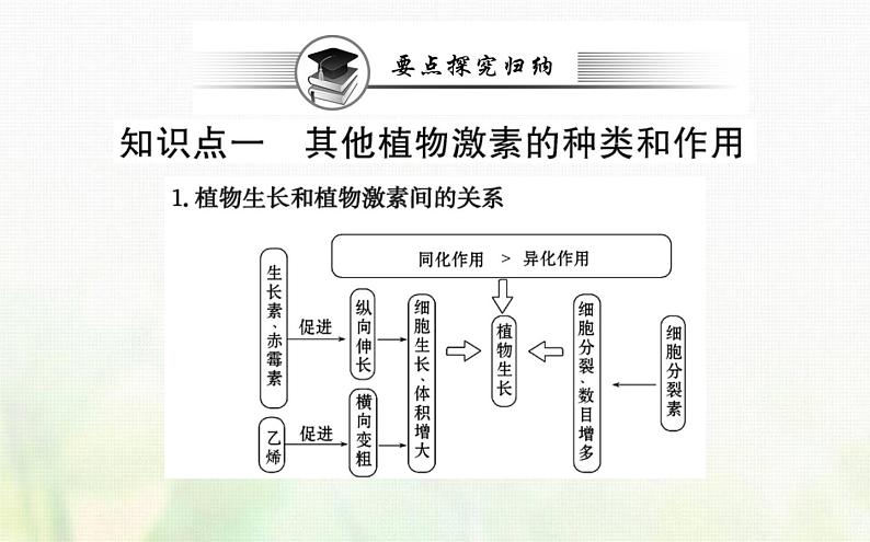 新人教版高中生物选择性必修1第5章植物生命活动的调节第2节其他植物激素课件第8页