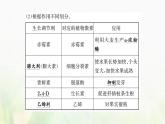 新人教版高中生物选择性必修1第5章植物生命活动的调节第3节植物生长调节剂的应用课件