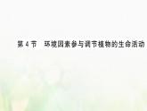 新人教版高中生物选择性必修1第5章植物生命活动的调节第4节环境因素参与调节植物的生命活动课件