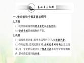 新人教版高中生物选择性必修1第5章植物生命活动的调节第4节环境因素参与调节植物的生命活动课件