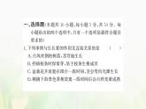 新人教版高中生物选择性必修1第5章植物生命活动的调节阶段复习课课件