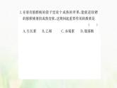新人教版高中生物选择性必修1第5章植物生命活动的调节阶段复习课课件