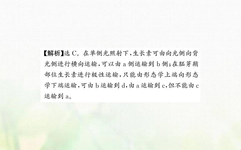 新人教版高中生物选择性必修1第5章植物生命活动的调节阶段复习课课件07