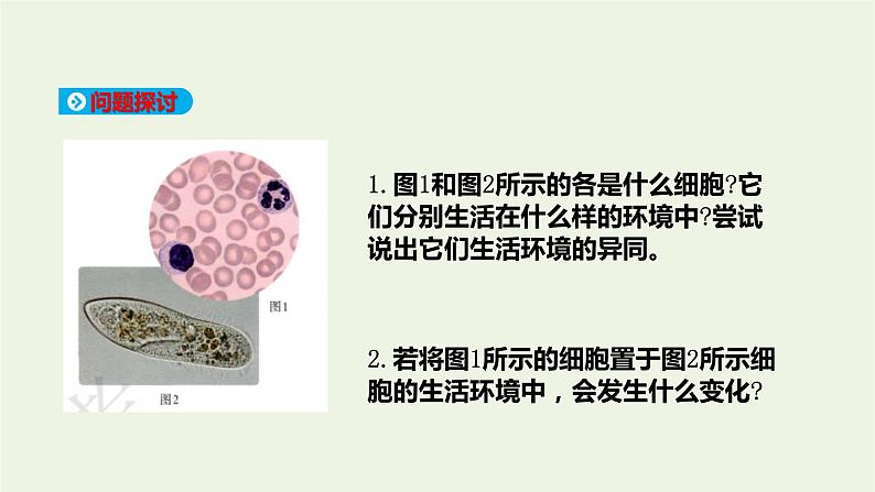 新人教版高中生物选择性必修1第1章人体的内环境与稳态第1节细胞生活的环境课件04