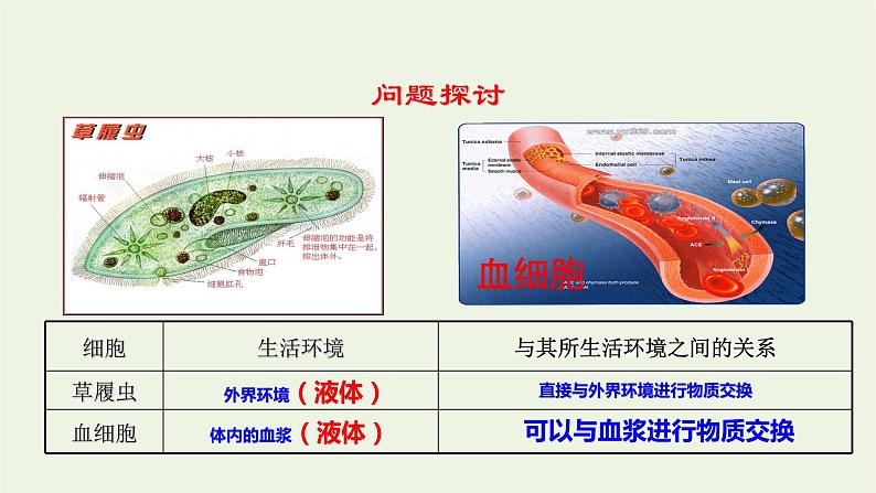 新人教版高中生物选择性必修1第1章人体的内环境与稳态第1节细胞生活的环境课件06