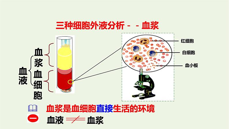 新人教版高中生物选择性必修1第1章人体的内环境与稳态第1节细胞生活的环境课件08