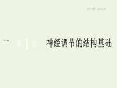 新人教版高中生物选择性必修1第2章神经调节第1节神经调节的结构基础课件